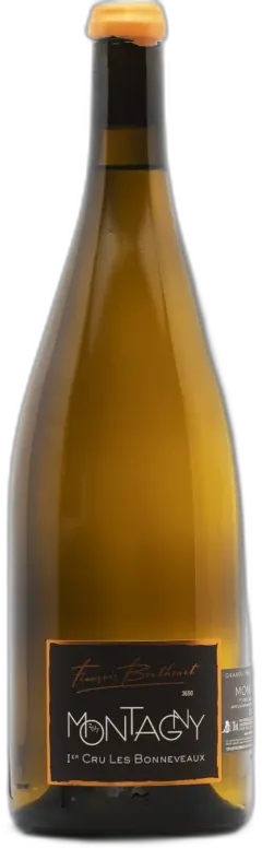 photo Magnum Montagny Premier Cru Blanc 2018 les Bonneveaux