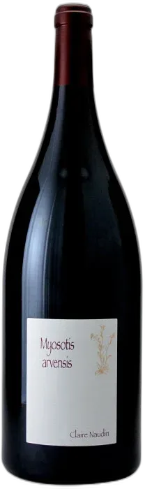photo Myosotis Arvensis 2022 Magnum