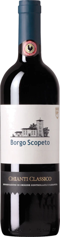 photo Chianti Classico Docg Borgo Scopeto 2021