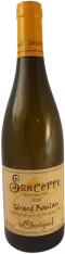 photo Gerard Boulay Sancerre 2020
