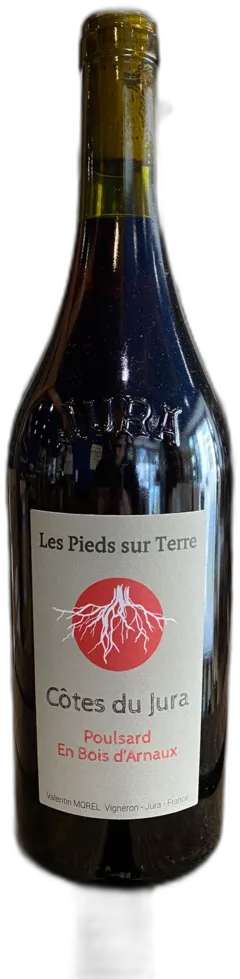 photo du vin Valentin Morel en Bois d’Arnaux Côtes du Jura 2021