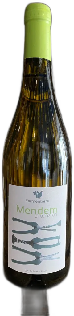vue du vin Domaine Fermenterre Mendem Muscadet