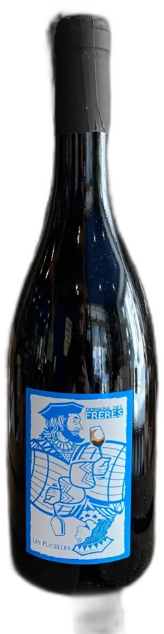 photo Domaine des Freres les Pucelles Chinon 2022