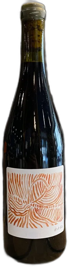 photo Maison des Saules b a ba Côtes du Jura 2022