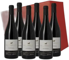 photo Saint-Nicolas de Bourgueil Gaëtan Bruneau la Chevallerie Aoc 2022