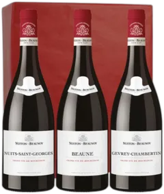 photo Gevrey Chambertin, Nuits Saint-Georges et Beaune