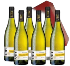 photo Domaine Uby Colombard-Ugni Blanc n°3 Côtes de Gascogne Igp 2023