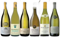 photo les Blancs de Bourgogne