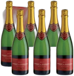 vue du vin Crémant de Bourgogne Buissonnier Brut de 6