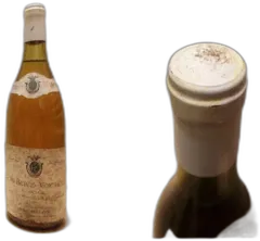 vue du vin Criots-Bâtard-Montrachet 1990 Grand Cru Roger Belland