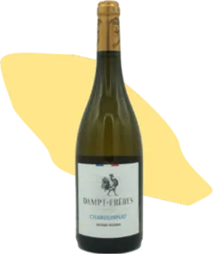 photo Chardonnay Jeunes Vignes- Vignoble Dampt Frères