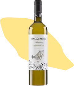 photo Finca Fabian Chardonnay- Dominio de Punctum