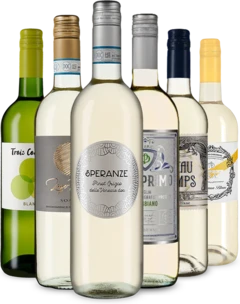 photo Vins Blancs en un Tour d’Europe