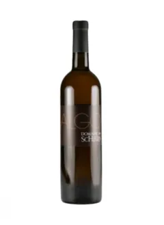 photo Domaine des Schistes 