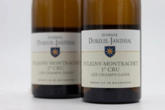 photo Vincent Dureuil-Janthial Puligny-Montrachet 1er Cru les Champs Gains 2019