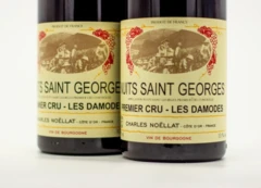 photo Charles Noellat Nuits-Saint-Georges 1er Cru Rouge les Damodes 2016