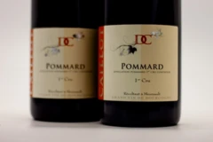 photo Domaine Michel Caillot Pommard 1er Cru 2017