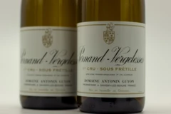 photo Antonin Guyon Pernand-Vergelesses 1er Cru Blanc Sous Frétille 2021