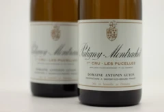 photo Antonin Guyon Puligny-Montrachet 1er Cru les Pucelles 2021