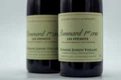 photo Joseph Voillot Pommard 1er Cru Epenots 2022