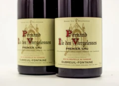 photo Domaine Dubreuil-Fontaine Pernand-Vergelesses Rouge 1er Cru Ile des Vergelesses 2022