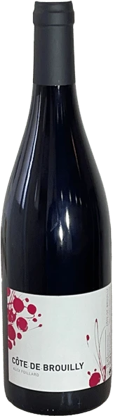 photo Côte de Brouilly Foillard 2020 Alex Foillard