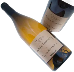 illustration du vin Saumur les Salles Martin 2018 Antoine Sanzay