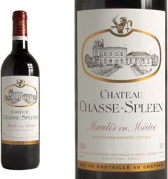 photo Château Chasse-Spleen 2002 Rouge