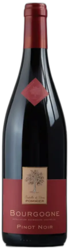 photo du vin Domaine Isabelle et Denis Pommier Bourgogne Pinot Noir 2022