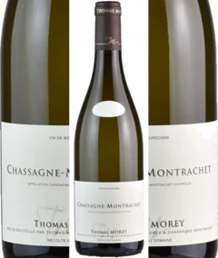 photo Chassagne Montrachet 2022 Morey Thomas 12 5