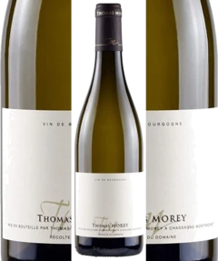 photo Chassagne Montrachet 1er Cru Morgeot 2022 Morey Thomas 12 5