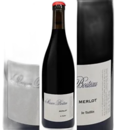 illustration du vin Merlot le Taillis Maison Julien Boiteau
