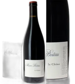 illustration du vin Merlot le Taillis Maison Julien Boiteau