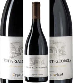 photo Nuits Saint Georges 2021 Cyprien Arlaud