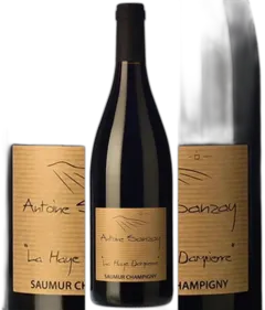 photo Saumur Champigny la Haye Dampierre 2021 Antoine Sanzay