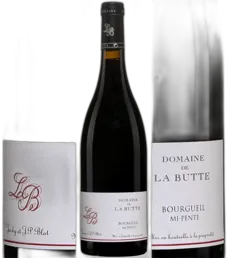 photo du vin Bourgueil mi Pente 2021 Butte