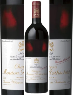 photo Mouton Rothschild 2009 Pauillac 13