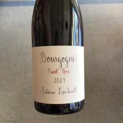 photo Bourgogne Pinot Noir 2021 Antoine Lienhardt