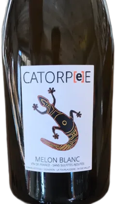 photo Magnum Catorpée Melon Blanc 2020 Romain Petiteau
