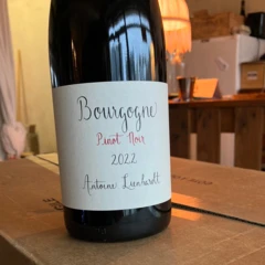 photo Bourgogne Pinot Noir 2022 Antoine Lienhardt