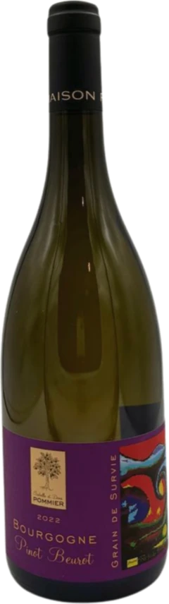 photo Bourgogne Blanc Pinot Beurot 2022