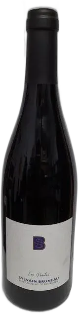 photo b Dupuy Aop st Nicolas de Bourgueuil Vieilles Vignes