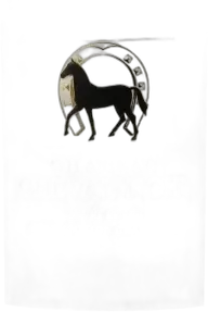 photo Château Cheval Noir Cuvée le Fer 2020
