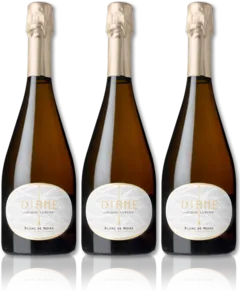 photo Diane by Jacques Lurton Blanc de Noirs Brut Nature x 16 30