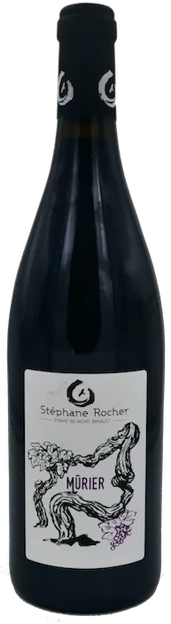 image du vin Mûriers