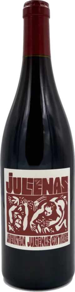 image du vin Julienas