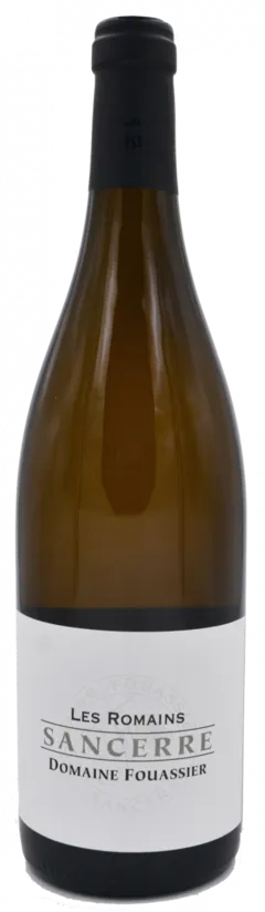 vue du vin les Chasseignes