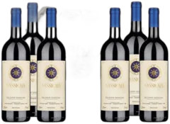 photo Sassicaia Bolgheri 2021 Doc 6 Bottiglie Tenuta San Guido