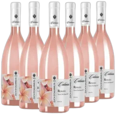 photo Rosato 2023 Igt Terre Siciliane Calanìca 6 Bottiglie Duca di Salaparuta