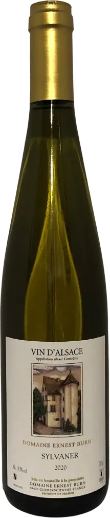photo Sylvaner 2021